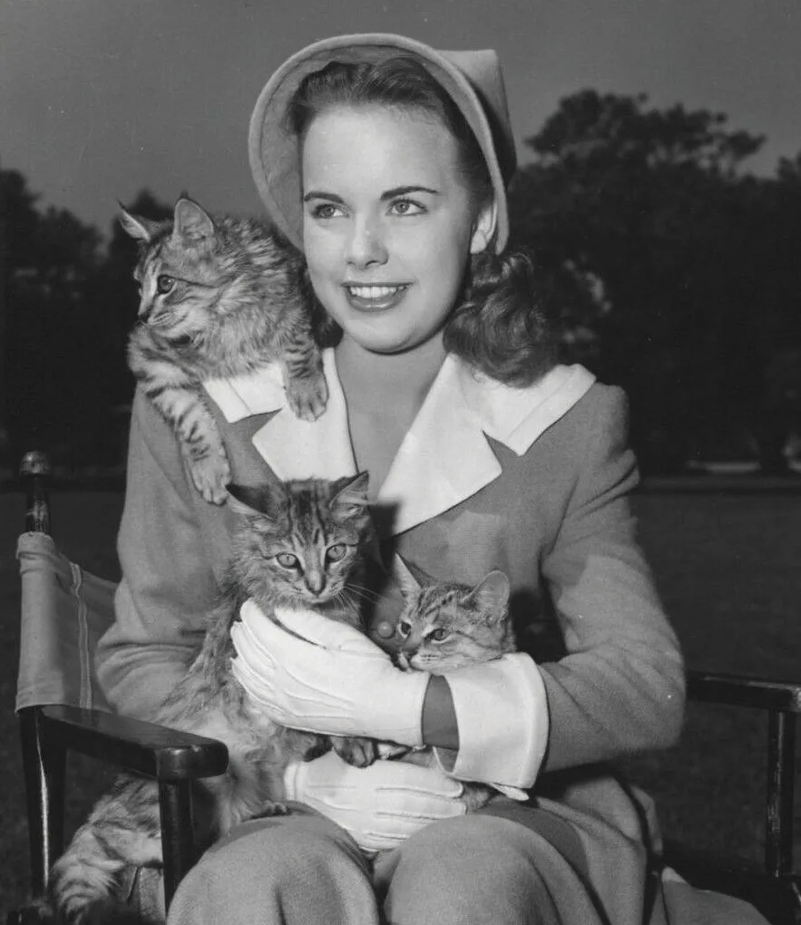 Terry Moore